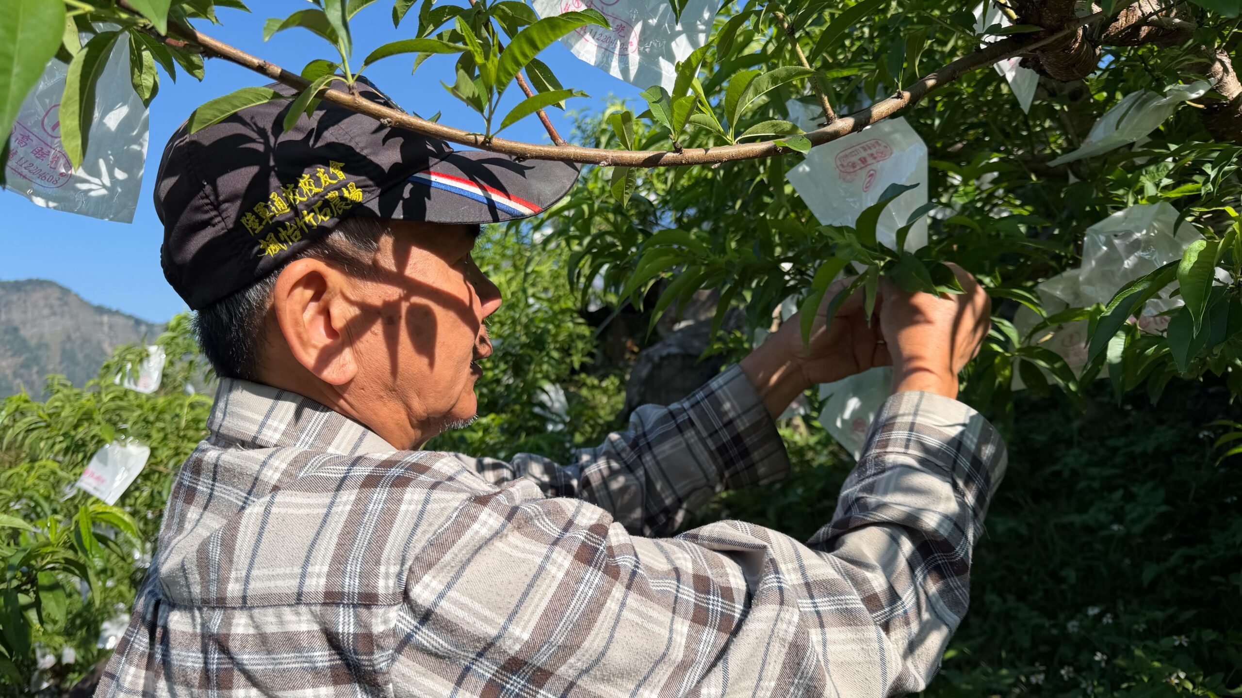 farmLog.20260412.02