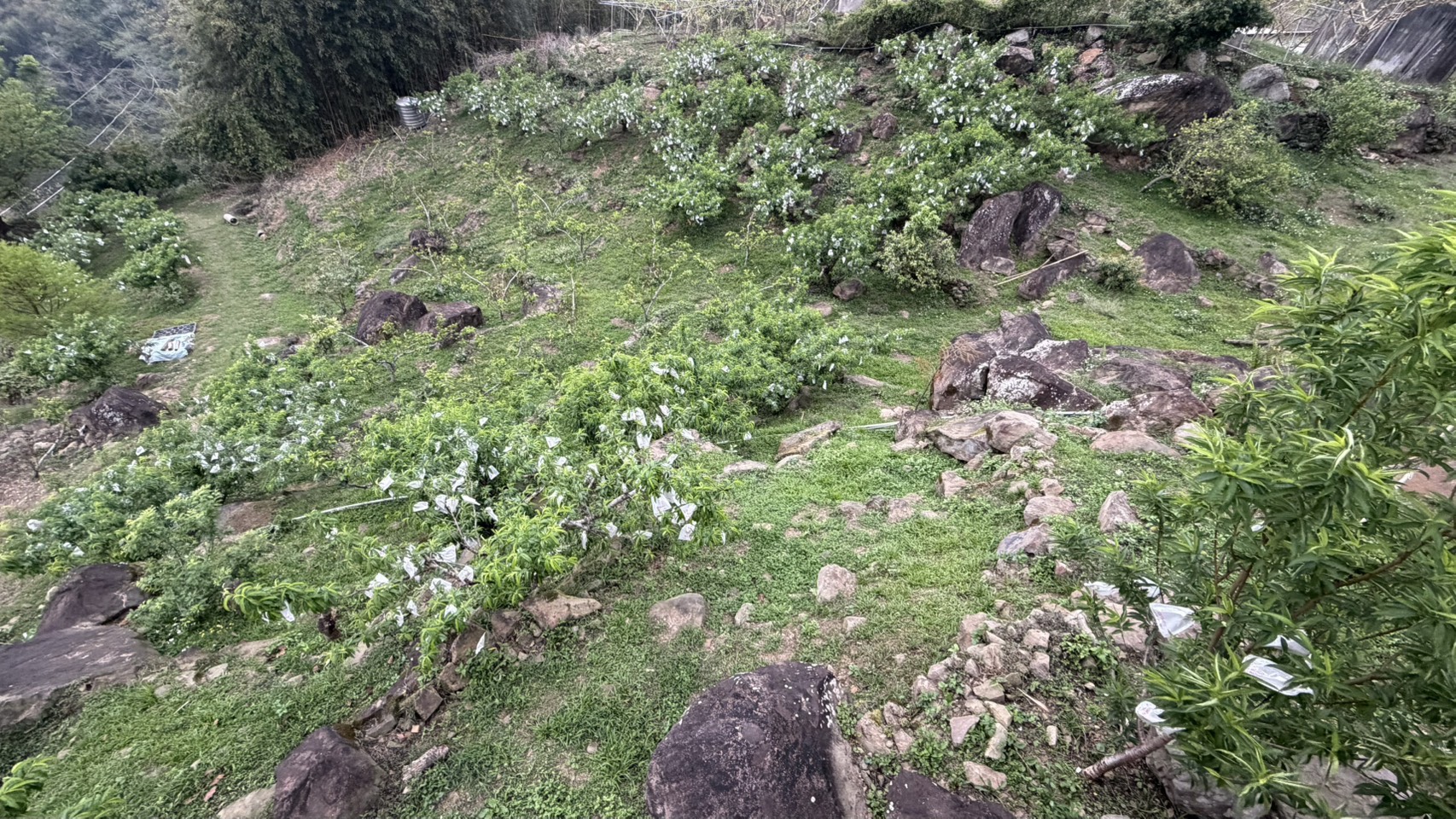 farmLog.20260412.32